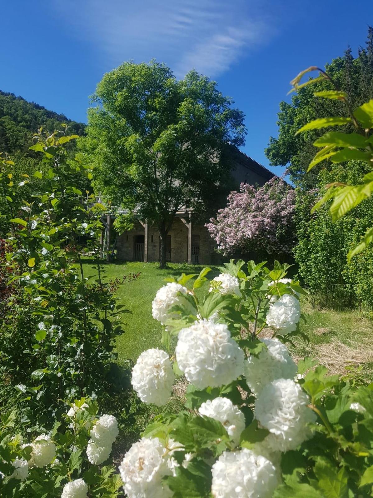Les Gites Du Saro Chabestan Exteriér fotografie